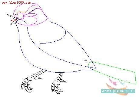 Flash鼠绘入门教程：画一只可爱的小鸟